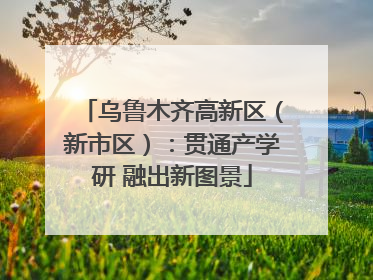 乌鲁木齐高新区（新市区）：贯通产学研 融出新图景