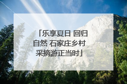 乐享夏日 回归自然 石家庄乡村采摘游正当时