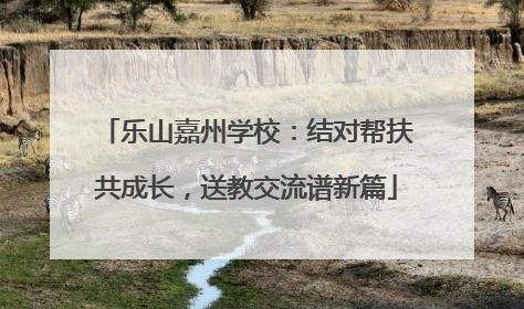 乐山嘉州学校：结对帮扶共成长，送教交流谱新篇