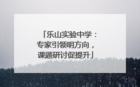 乐山实验中学：专家引领明方向，课题研讨促提升
