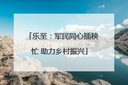 乐至：军民同心插秧忙 助力乡村振兴