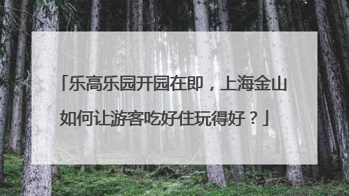 乐高乐园开园在即，上海金山如何让游客吃好住玩得好？