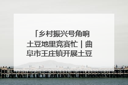 乡村振兴号角响 土豆地里竞赛忙｜曲阜市王庄镇开展土豆收获劳动竞赛