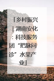 乡村振兴｜湖南安化：科技服务团“把脉问诊”水果产业