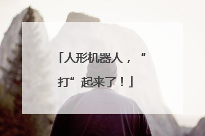 人形机器人，“打”起来了！