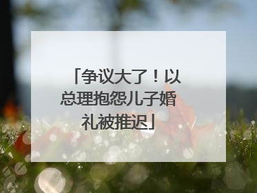 争议大了！以总理抱怨儿子婚礼被推迟