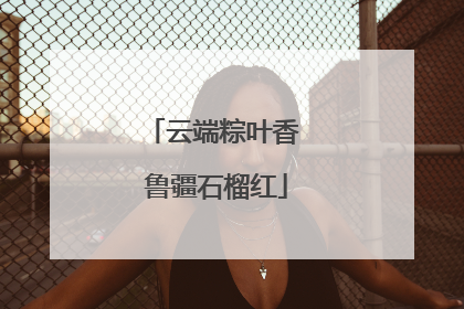 云端粽叶香 鲁疆石榴红