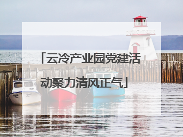 云冷产业园党建活动聚力清风正气