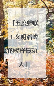 五度蝉联！文明淄博的模样最动人