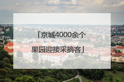 京城4000余个果园迎接采摘客