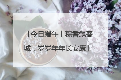 今日端午丨粽香飘春城，岁岁年年长安康
