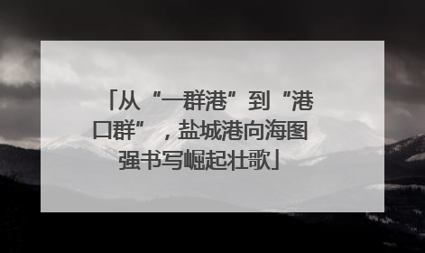 从“一群港”到“港口群”，盐城港向海图强书写崛起壮歌