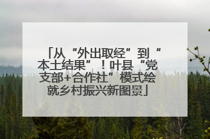从“外出取经”到“本土结果”！叶县“党支部+合作社”模式绘就乡村振兴新图景