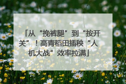 从“挽裤腿”到“按开关”！高青稻田插秧“人机大战”效率拉满