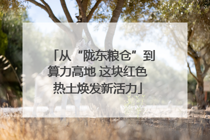从“陇东粮仓”到算力高地 这块红色热土焕发新活力