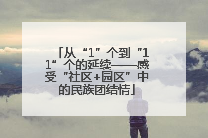 从“1”个到“11”个的延续——感受“社区+园区”中的民族团结情