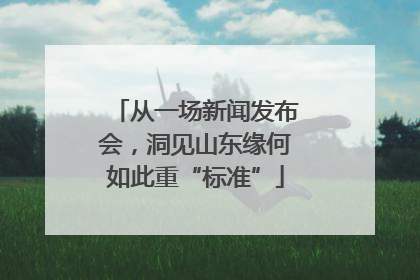 从一场新闻发布会，洞见山东缘何如此重“标准”