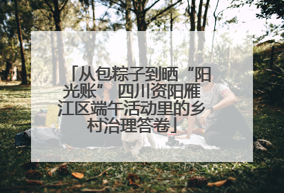 从包粽子到晒“阳光账” 四川资阳雁江区端午活动里的乡村治理答卷