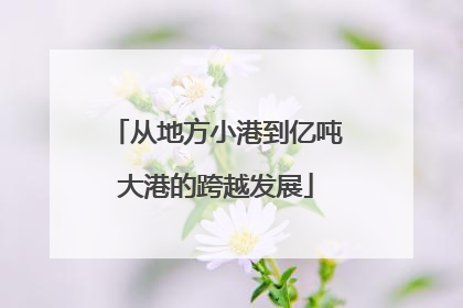 从地方小港到亿吨大港的跨越发展