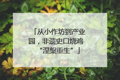 从小作坊到产业园，非遗史口烧鸡“涅槃重生”