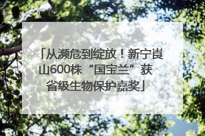 从濒危到绽放！新宁崀山600株“国宝兰”获省级生物保护嘉奖