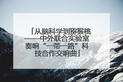 从脑科学到猕猴桃——中外联合实验室奏响“一带一路”科技合作交响曲