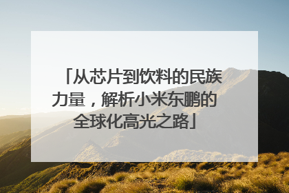 从芯片到饮料的民族力量，解析小米东鹏的全球化高光之路