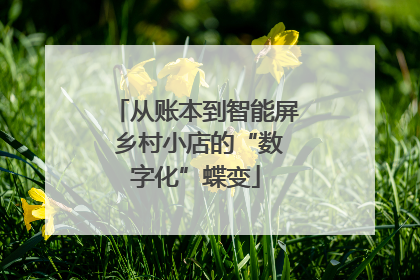 从账本到智能屏 乡村小店的“数字化”蝶变