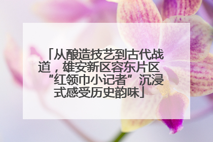 从酿造技艺到古代战道，雄安新区容东片区“红领巾小记者”沉浸式感受历史韵味