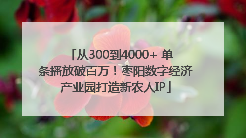 从300到4000+ 单条播放破百万！枣阳数字经济产业园打造新农人IP