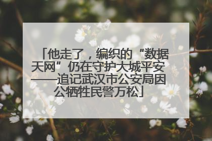他走了，编织的“数据天网”仍在守护大城平安——追记武汉市公安局因公牺牲民警万松