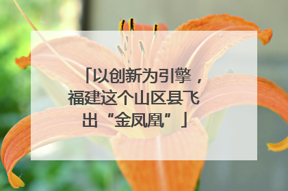 以创新为引擎，福建这个山区县飞出“金凤凰”