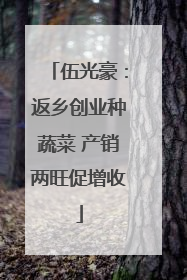 伍光豪：返乡创业种蔬菜 产销两旺促增收
