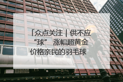 众点关注｜供不应“球” 涨幅超黄金 价格亲民的羽毛球为何身价飞涨？