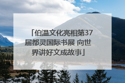 伯温文化亮相第37届都灵国际书展 向世界讲好文成故事