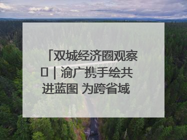 双城经济圈观察㊺｜渝广携手绘共进蓝图 为跨省域都市圈发展破题
