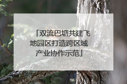 双流巴塘共建飞地园区打造跨区域产业协作示范