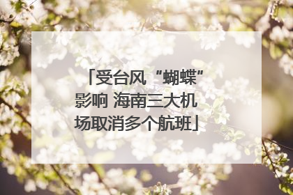 受台风“蝴蝶”影响 海南三大机场取消多个航班