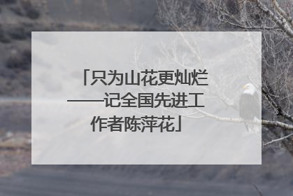 只为山花更灿烂——记全国先进工作者陈萍花