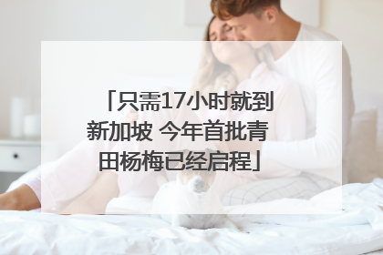 只需17小时就到新加坡 今年首批青田杨梅已经启程