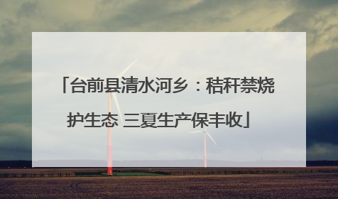 台前县清水河乡：秸秆禁烧护生态 三夏生产保丰收