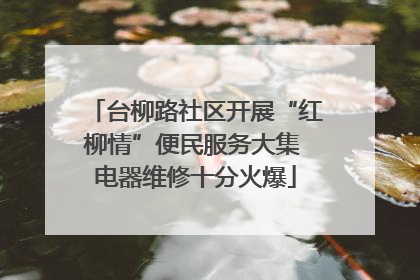 台柳路社区开展“红柳情”便民服务大集 电器维修十分火爆