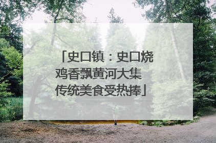 史口镇：史口烧鸡香飘黄河大集 传统美食受热捧