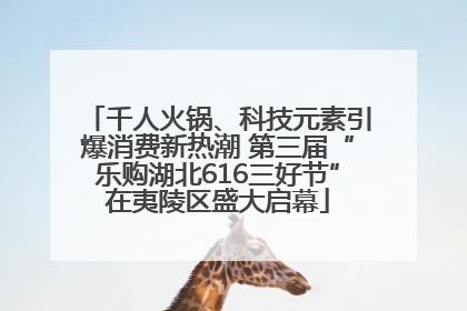 千人火锅、科技元素引爆消费新热潮 第三届“乐购湖北616三好节”在夷陵区盛大启幕