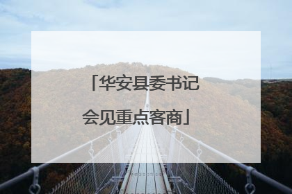 华安县委书记会见重点客商