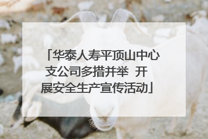 华泰人寿平顶山中心支公司多措并举  开展安全生产宣传活动