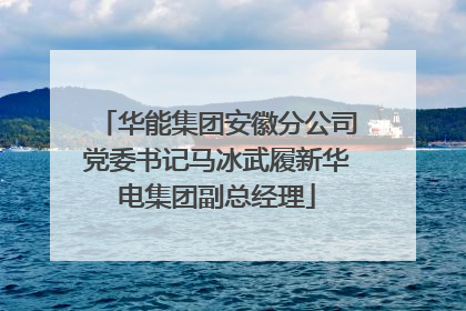 华能集团安徽分公司党委书记马冰武履新华电集团副总经理