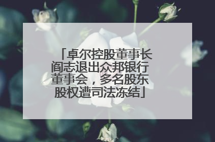 卓尔控股董事长阎志退出众邦银行董事会，多名股东股权遭司法冻结