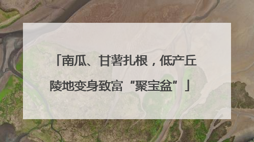 南瓜、甘薯扎根，低产丘陵地变身致富“聚宝盆”