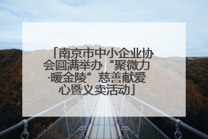 南京市中小企业协会圆满举办“聚微力·暖金陵”慈善献爱心暨义卖活动